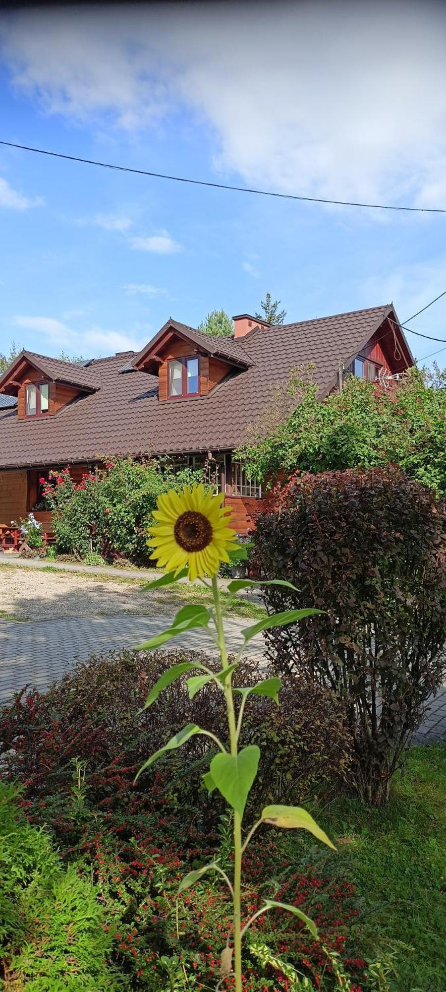 Mroczkowka Apartment Debowiec  Ngoại thất bức ảnh